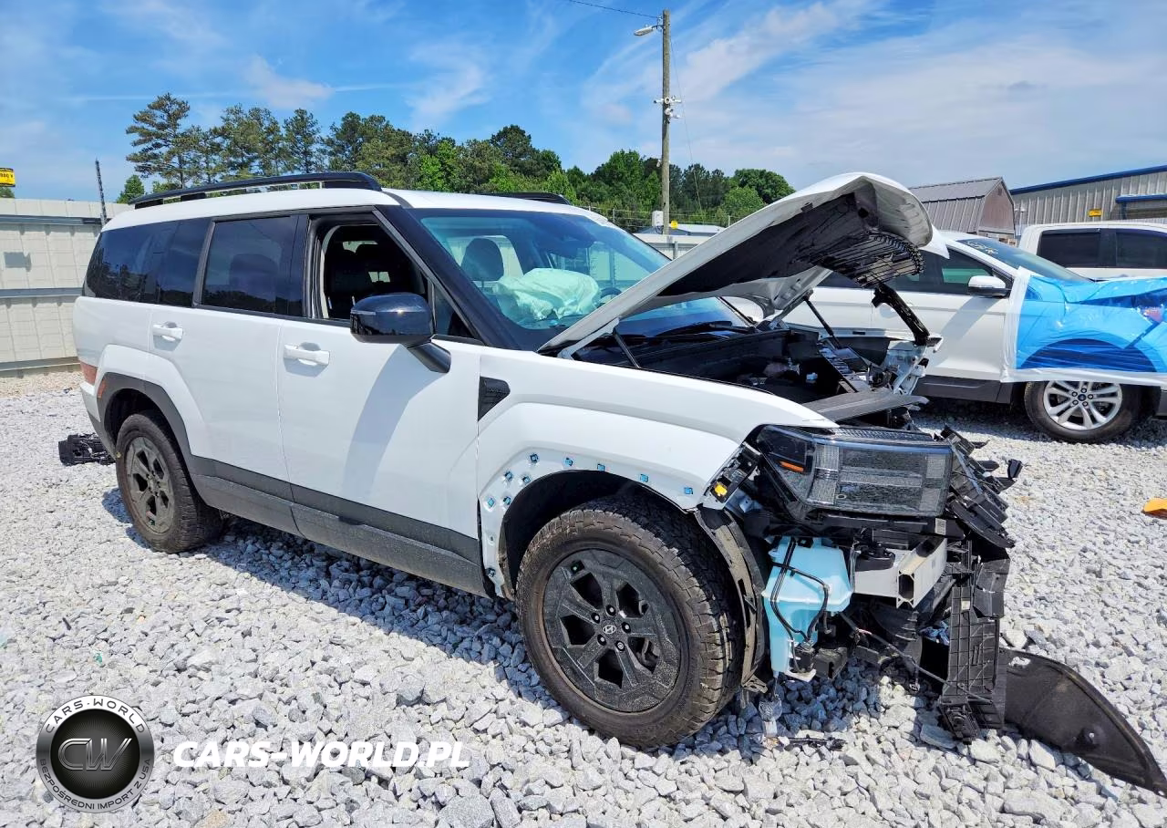 2025 Hyundai Santa Fe Xrt VIN:5NMP3DGL2SH084032 - 4