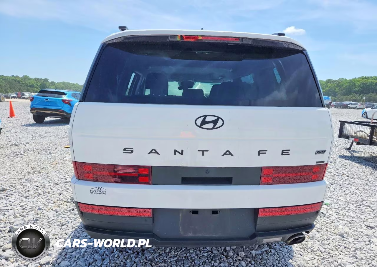 2025 Hyundai Santa Fe Xrt VIN:5NMP3DGL2SH084032 - 6