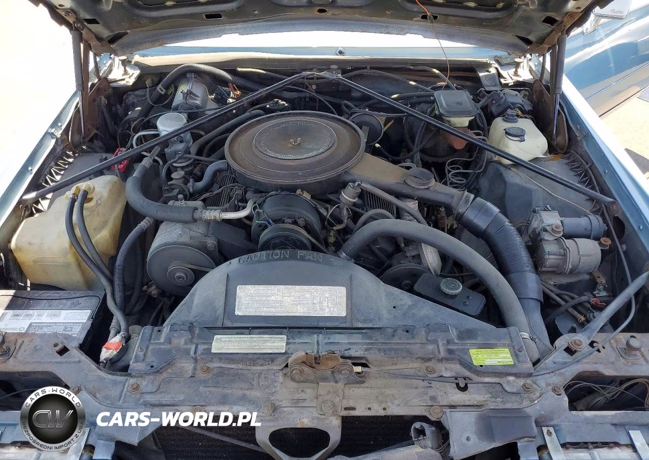 1985 Cadillac Eldorado VIN:1G6EL5789FE604196 - 11