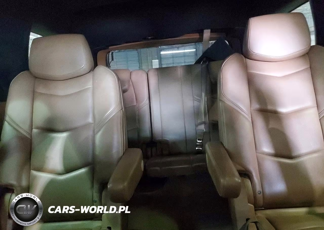 2017 Cadillac Escalade Platinum VIN:1GYS4DKJ1HR160948 - 10