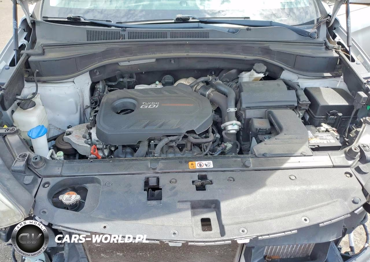 2018 Hyundai Santa Fe Sport 2.0T Ultimate VIN:5XYZW4LA6JG505649 - 11