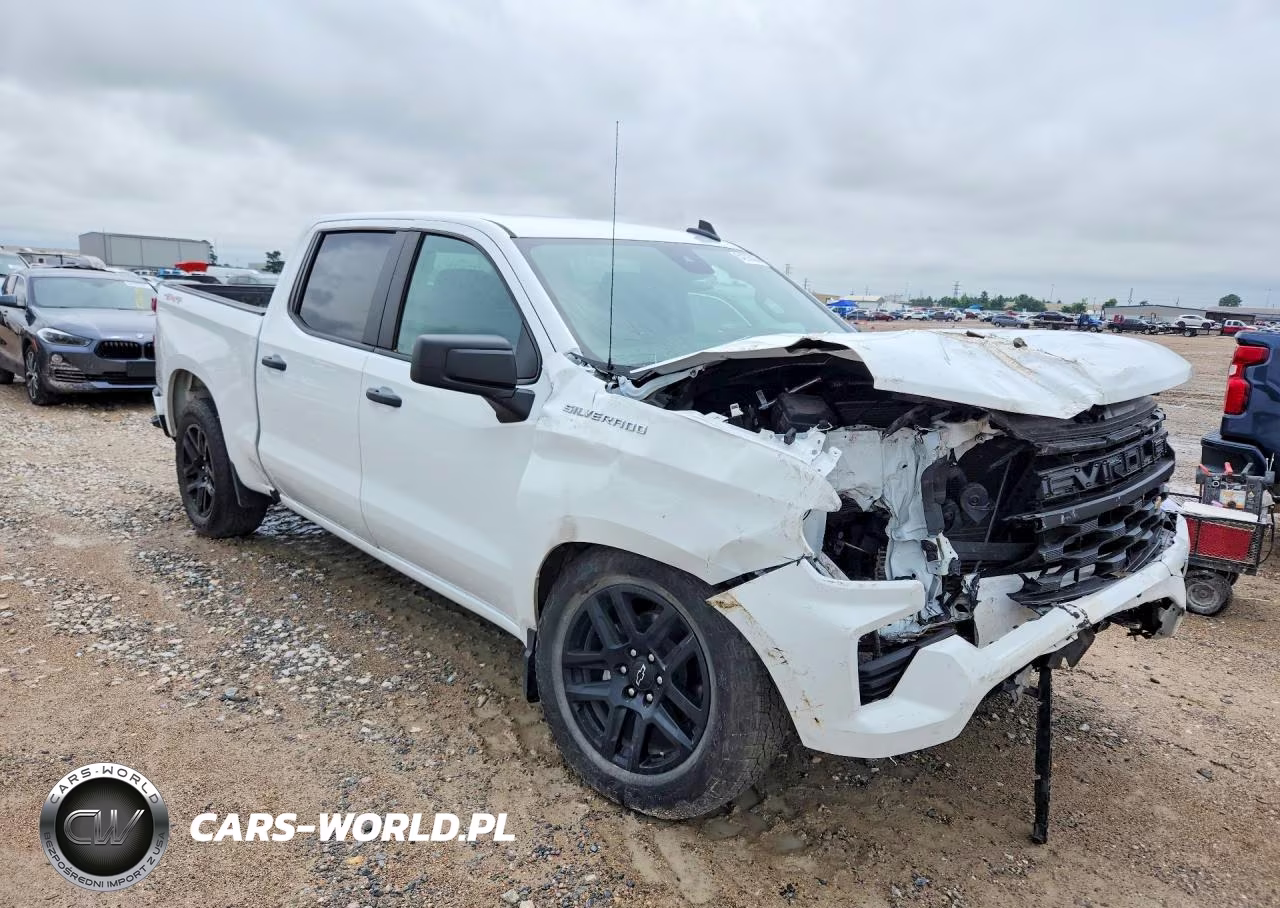 2025 Chevrolet Silverado K1500 Custom VIN:1GCPKBEK5SZ138579 - 4