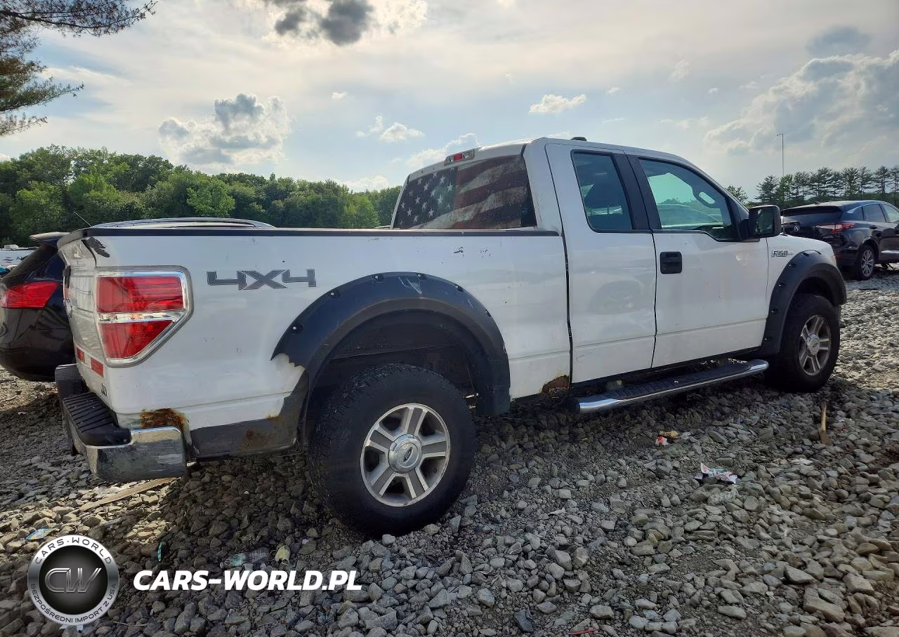 2010 Ford F150 Super Cab VIN:1FTFX1EVXAFA73956 - 3