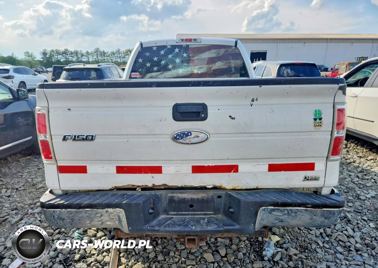 2010 Ford F150 Super Cab VIN:1FTFX1EVXAFA73956 - 6
