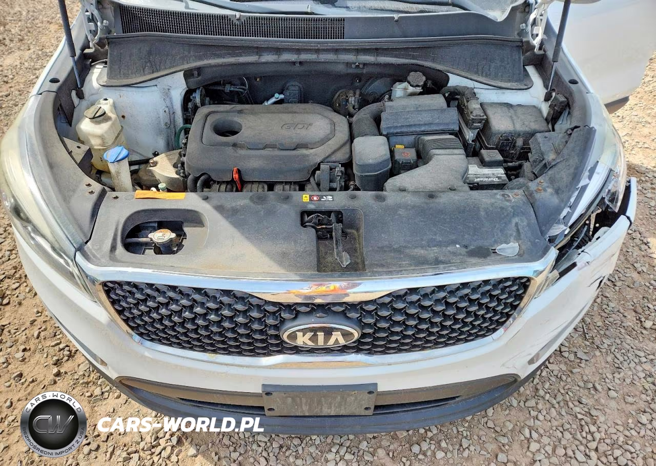 2017 Kia Sorento Lx VIN:5XYPGDA34HG265245 - 12