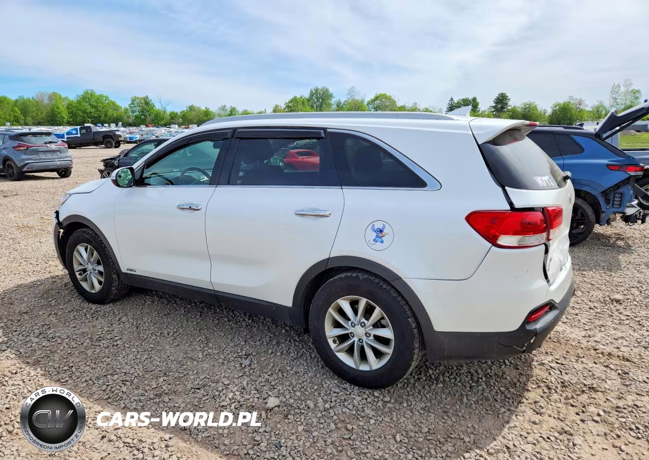 2017 Kia Sorento Lx VIN:5XYPGDA34HG265245 - 2