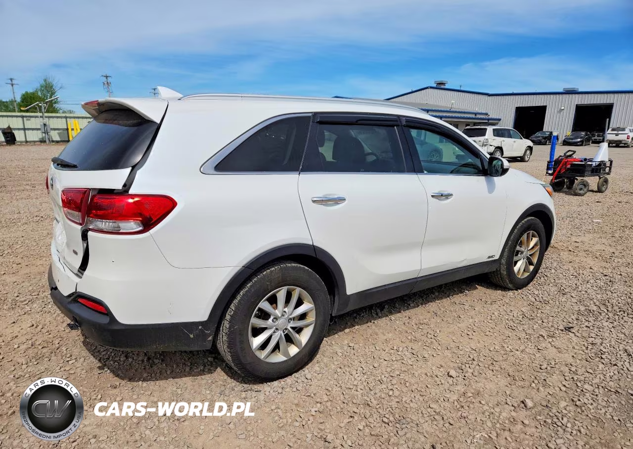 2017 Kia Sorento Lx VIN:5XYPGDA34HG265245 - 3