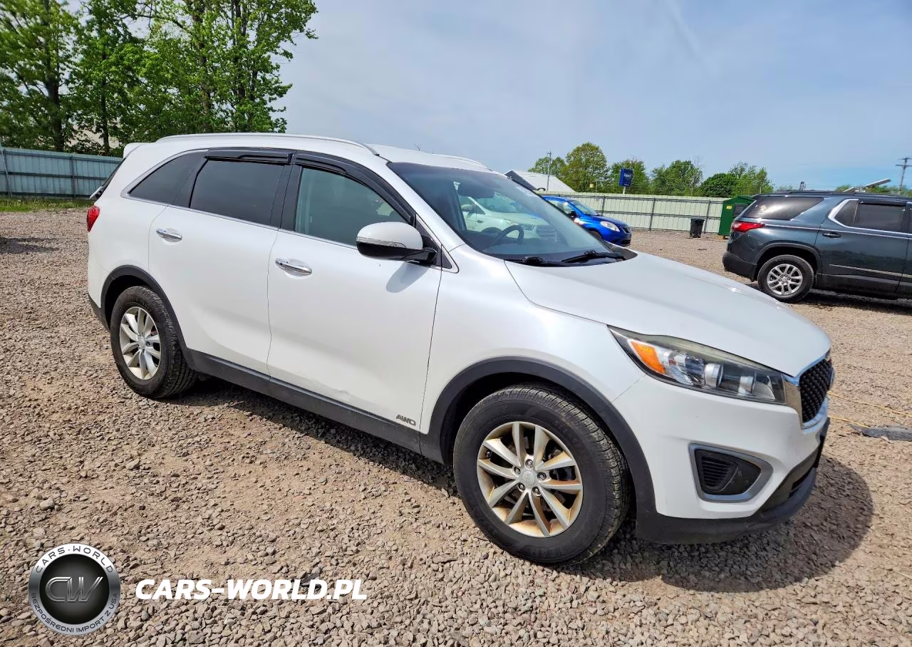 2017 Kia Sorento Lx VIN:5XYPGDA34HG265245 - 4