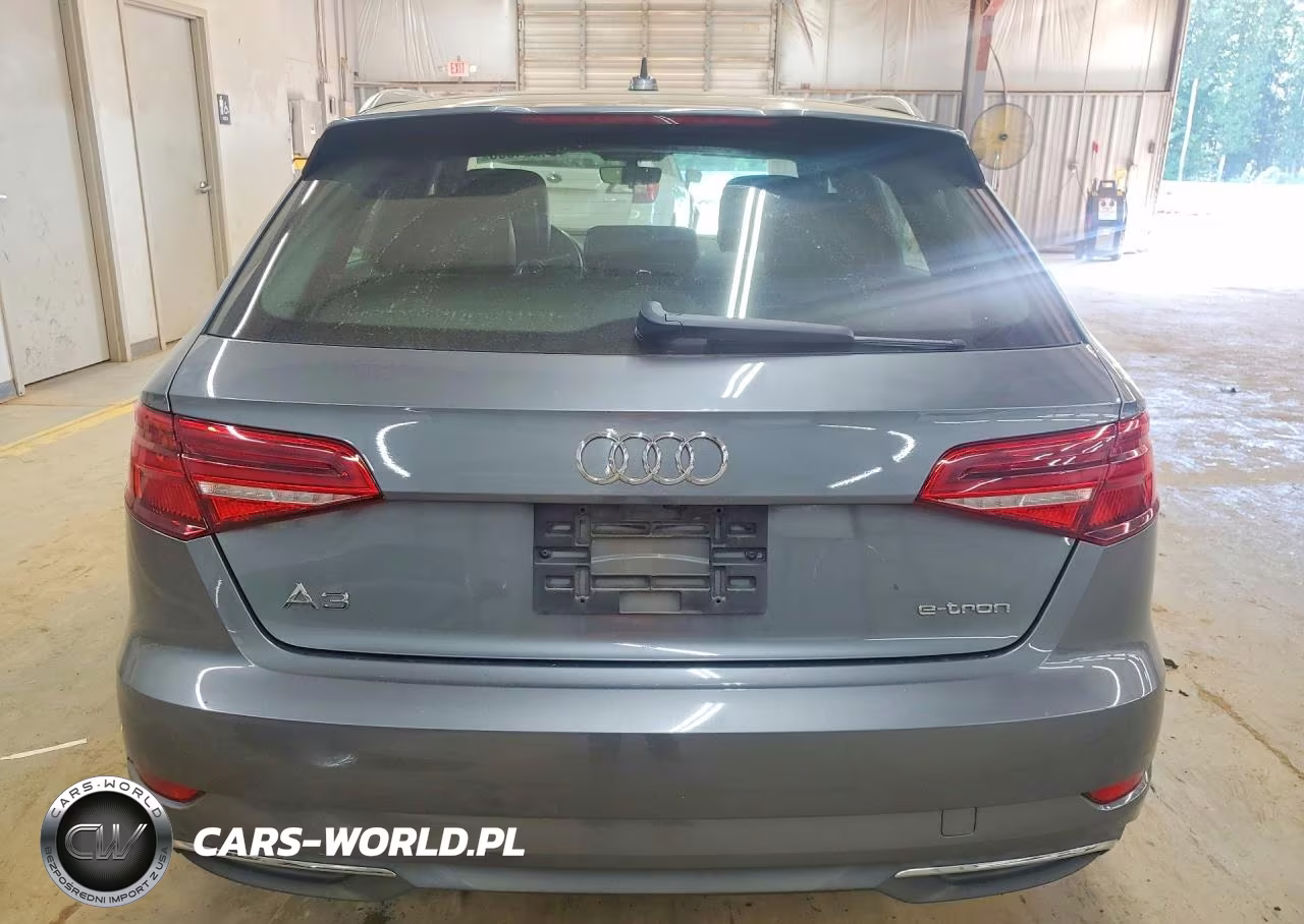 2018 Audi A3 E-Tron Premium VIN:WAUUPBFF9JA092285 - 6