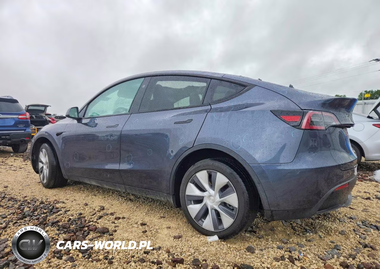 2023 Tesla Y VIN:7SAYGDEE6PF944491 - 2
