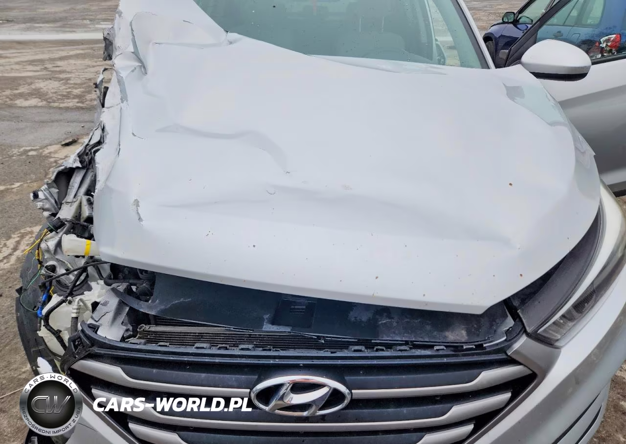 2017 Hyundai Tucson Se VIN:KM8J23A43HU285939 - 12