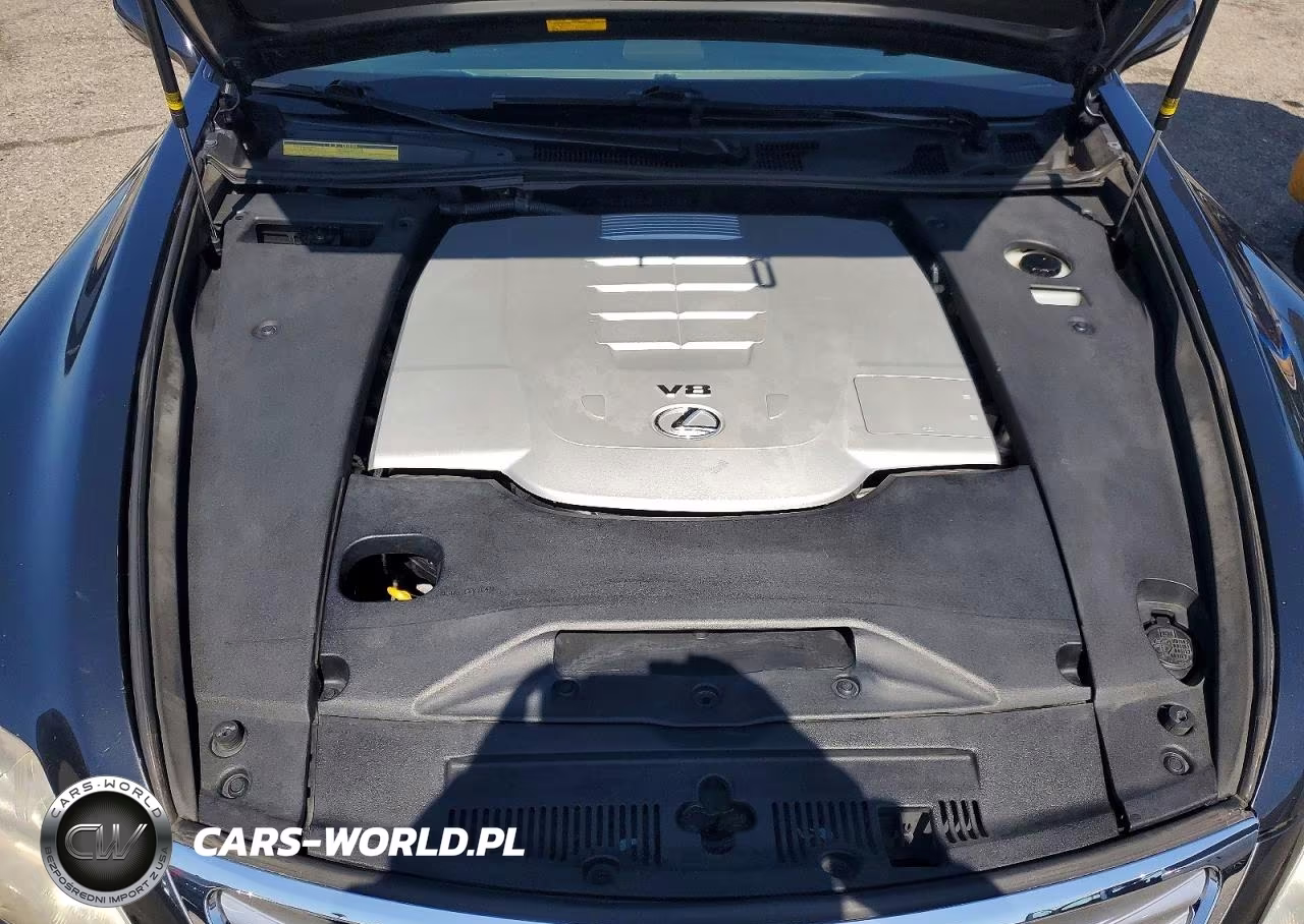 2010 Lexus Ls 460 Base VIN:JTHBL5EF3A5100655 - 11