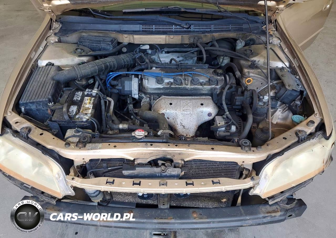 2001 Honda Accord Lx VIN:1HGCG554X1A014132 - 11