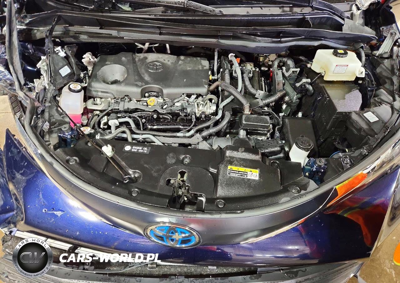 2024 Toyota Sienna Xle VIN:5TDYRKEC1RS215663 - 12