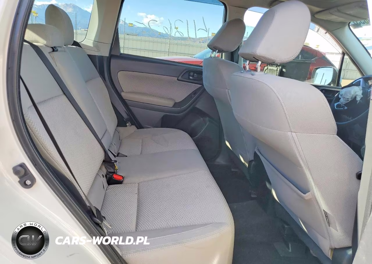 2018 Subaru Forester 2.5I Premium VIN:JF2SJAEC4JH412859 - 10
