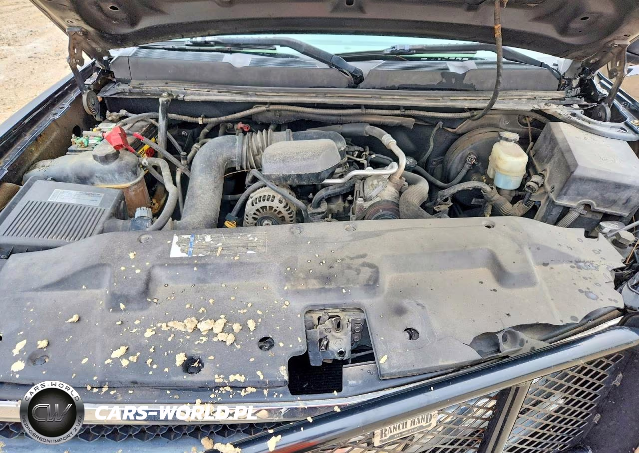 2010 Chevrolet Silverado C1500 VIN:1GCPCPEX6AZ222995 - 11