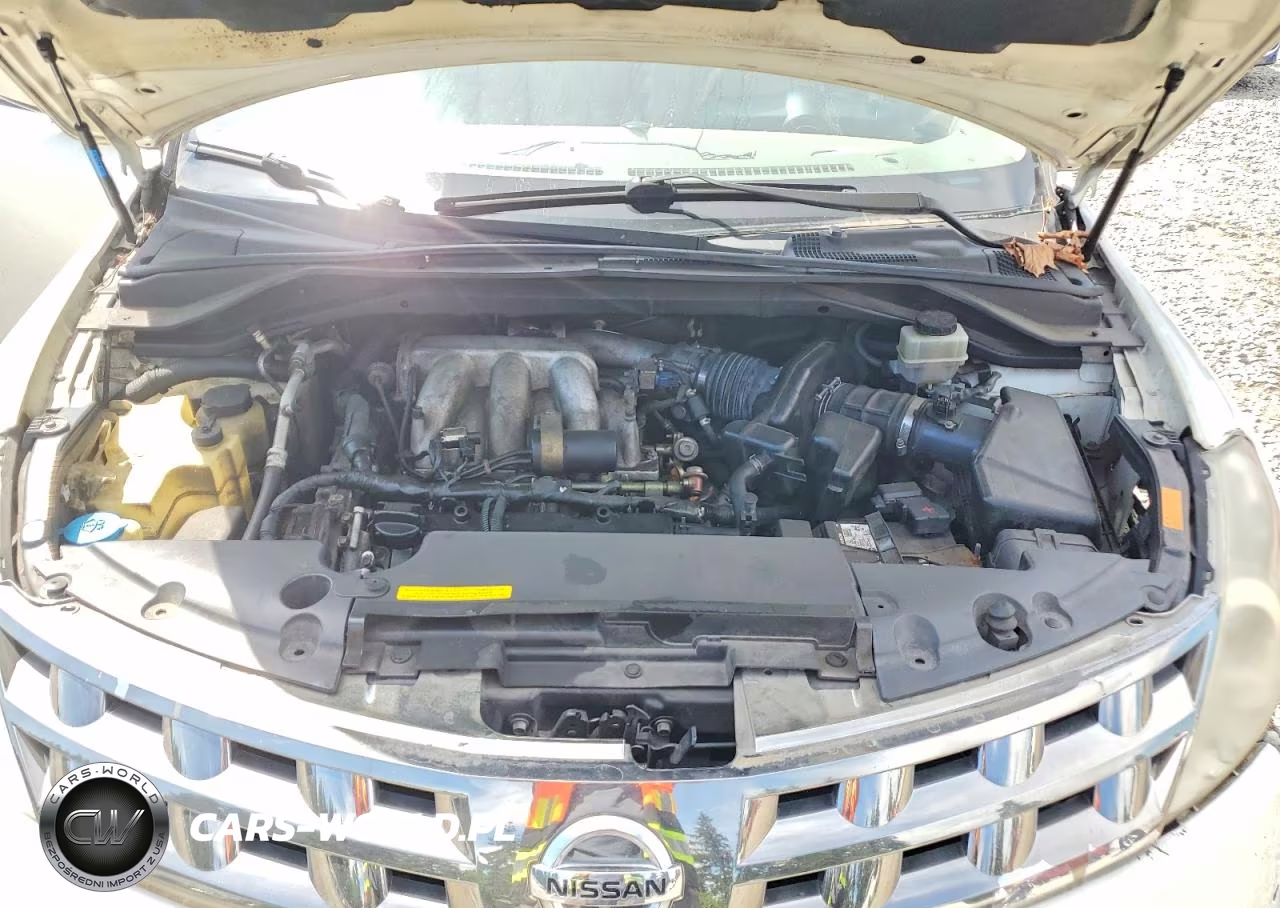 2003 Nissan Murano Sl VIN:JN8AZ08W53W224597 - 11