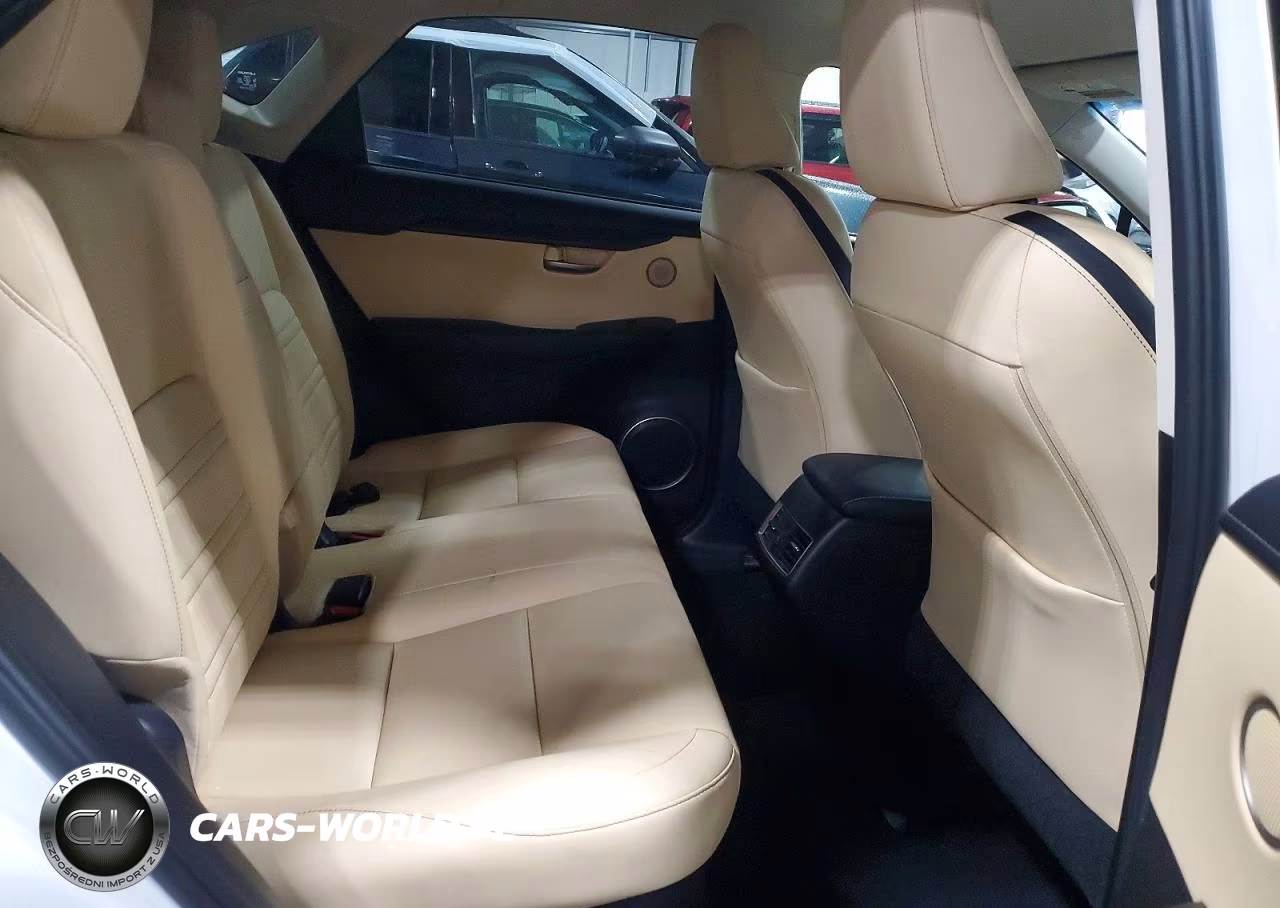 2015 Lexus Nx 200T VIN:JTJYARBZ0F2019982 - 10