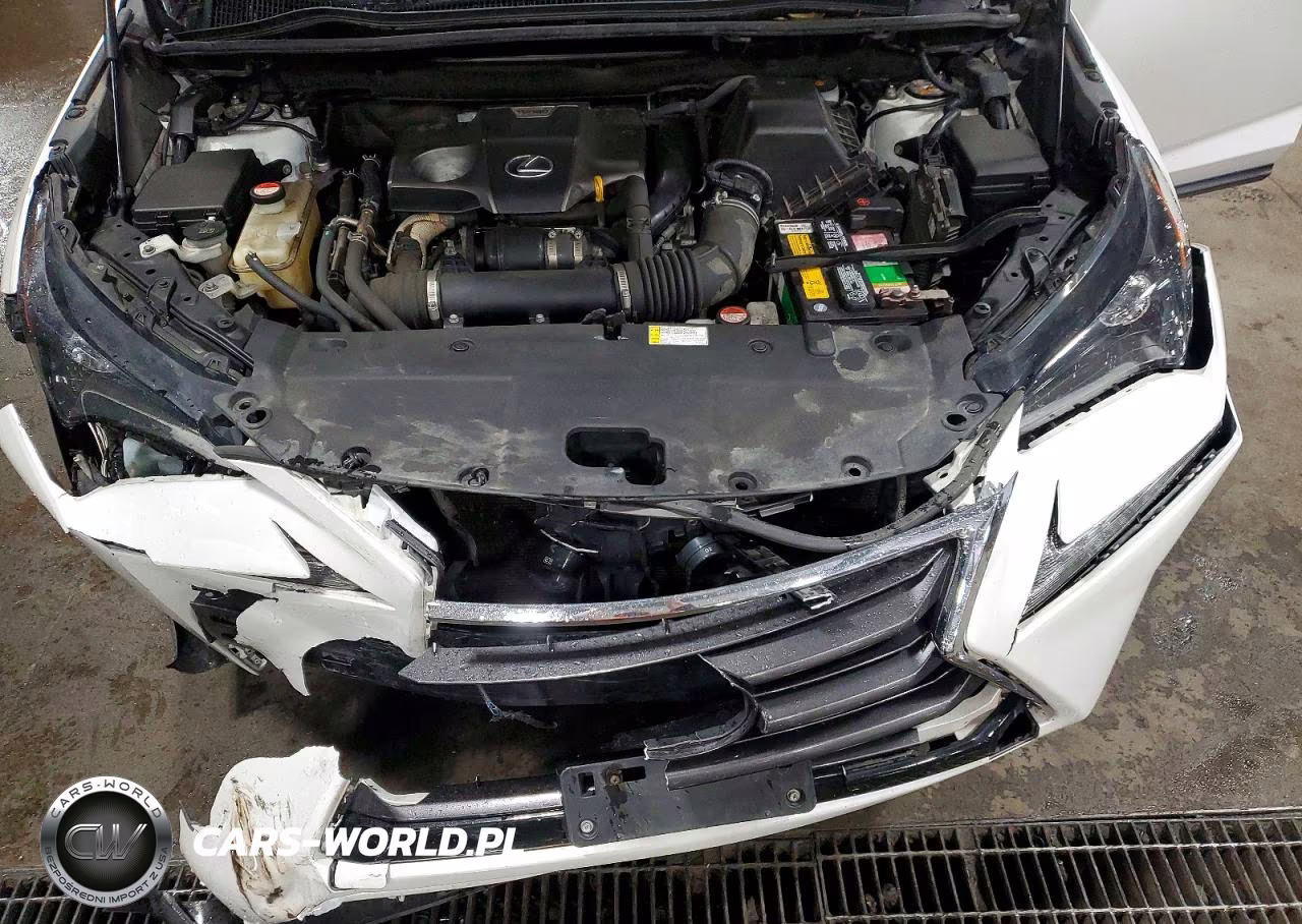 2015 Lexus Nx 200T VIN:JTJYARBZ0F2019982 - 11