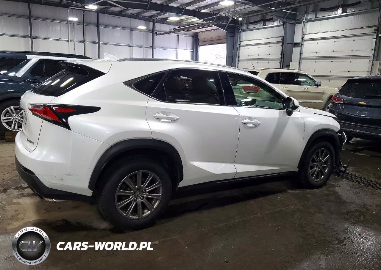 2015 Lexus Nx 200T VIN:JTJYARBZ0F2019982 - 3
