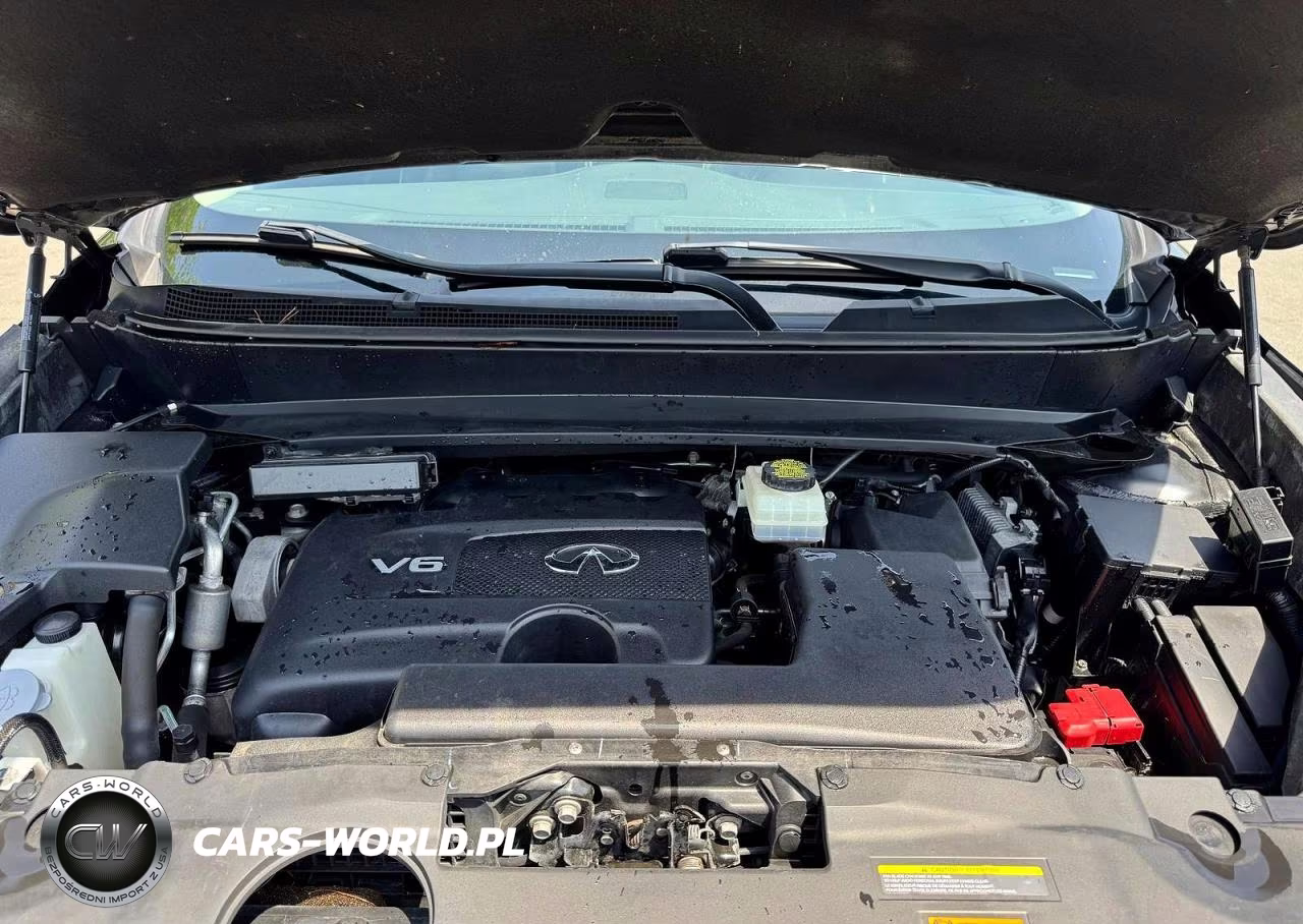 2019 Infiniti Qx60 Pure VIN:5N1DL0MM9KC565978 - 10