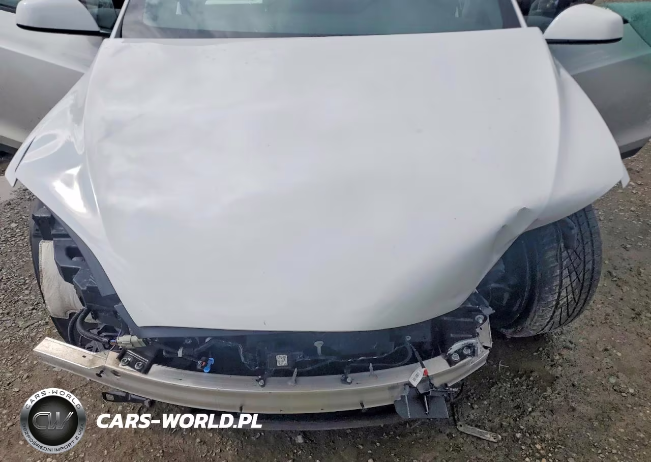 2024 Tesla Model X VIN:7SAXCBE62RF453942 - 12
