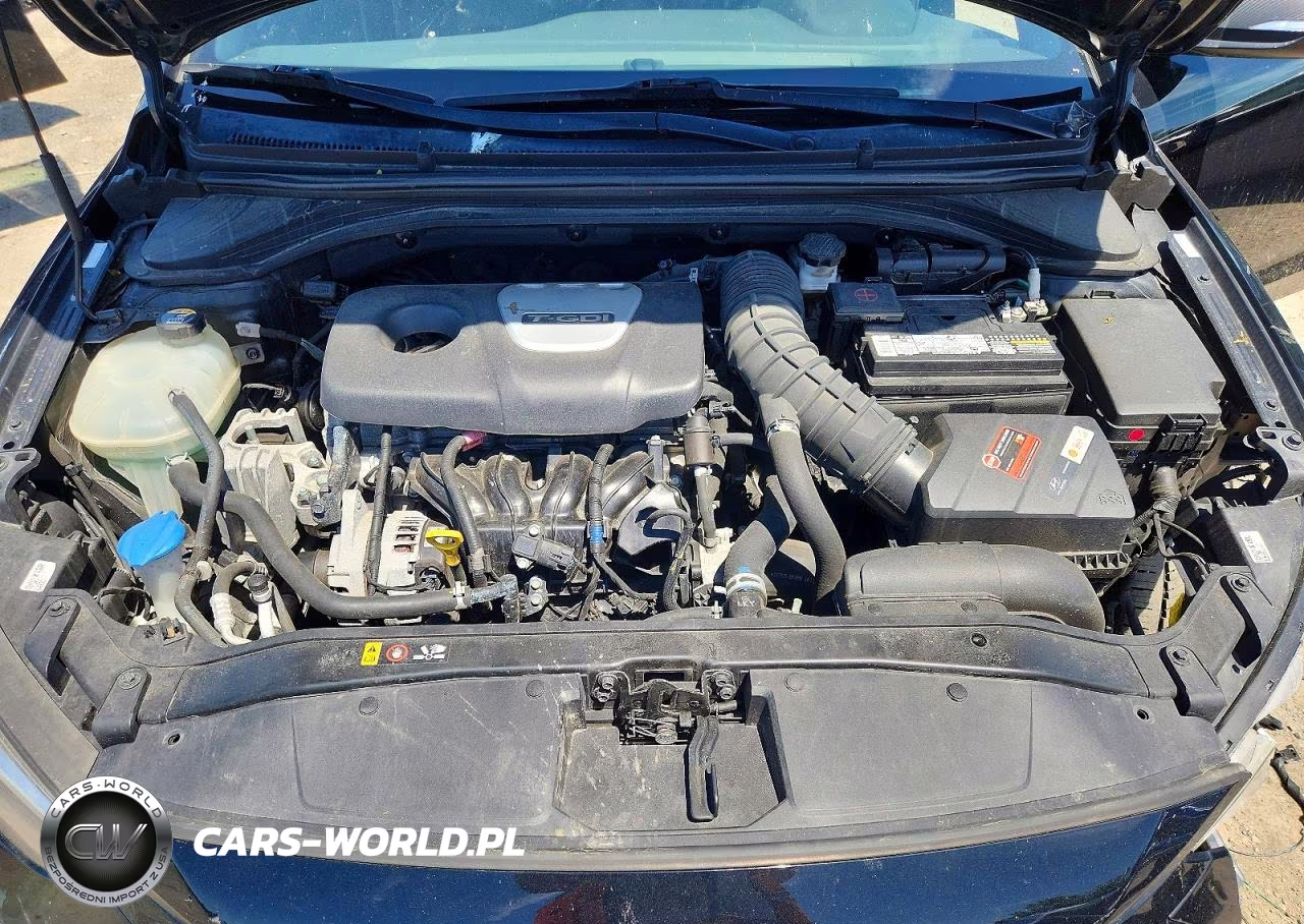 2017 Hyundai Elantra Sport VIN:KMHD04LB9HU343492 - 11