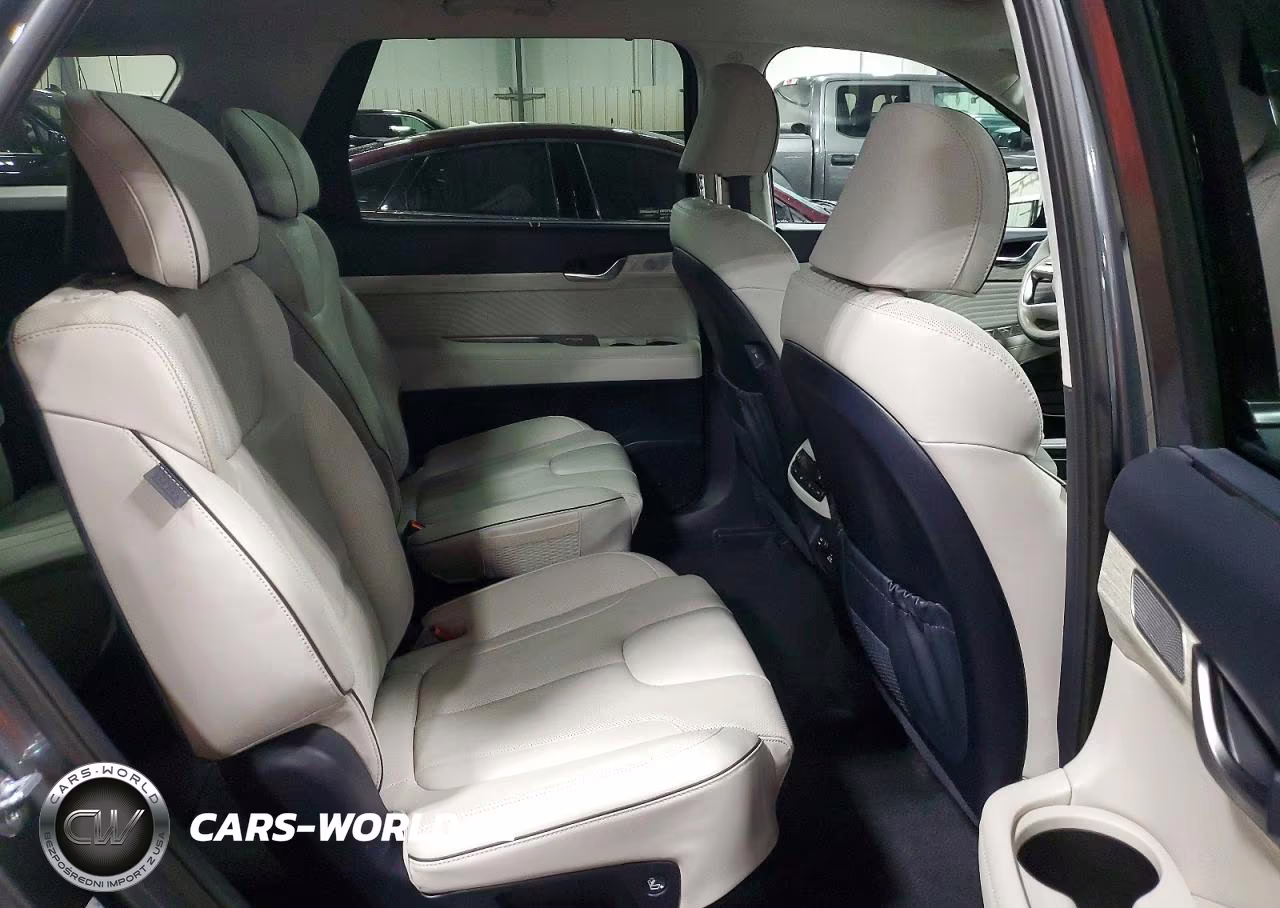 2023 Hyundai Palisade Calligraphy VIN:KM8R7DGE4PU636978 - 10