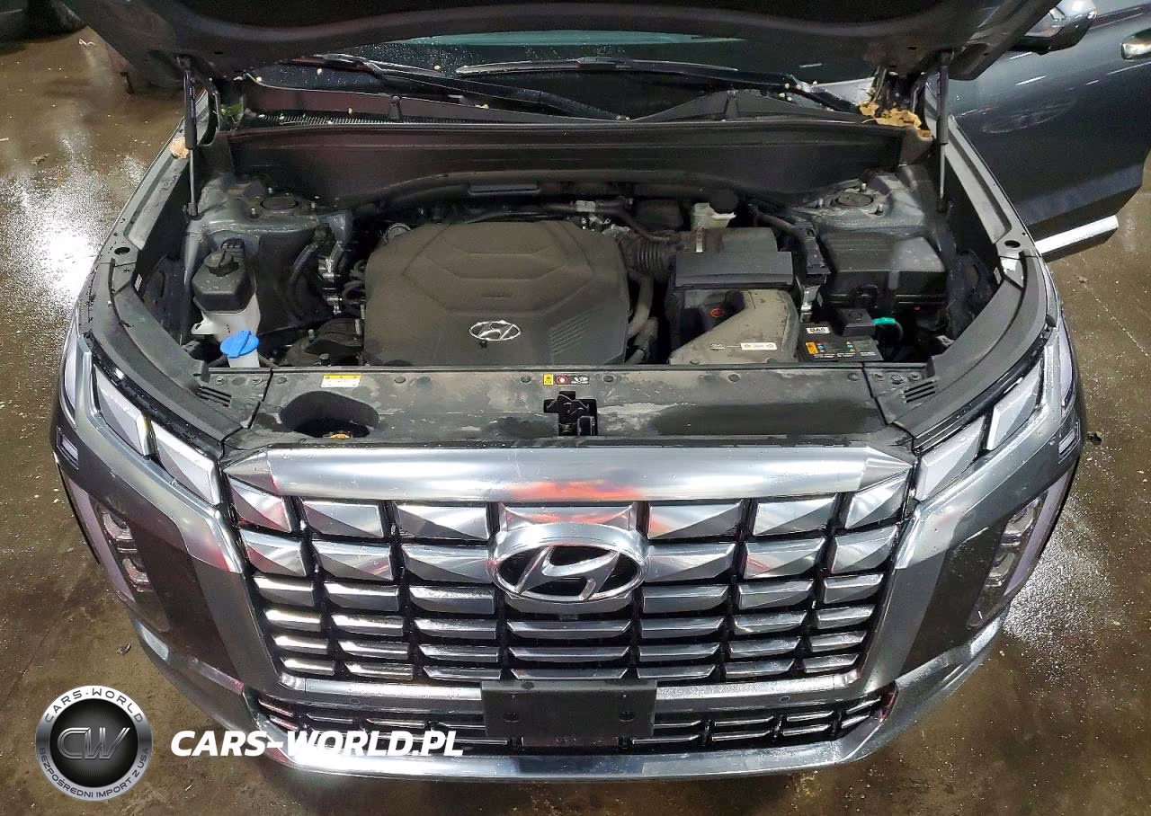 2023 Hyundai Palisade Calligraphy VIN:KM8R7DGE4PU636978 - 11
