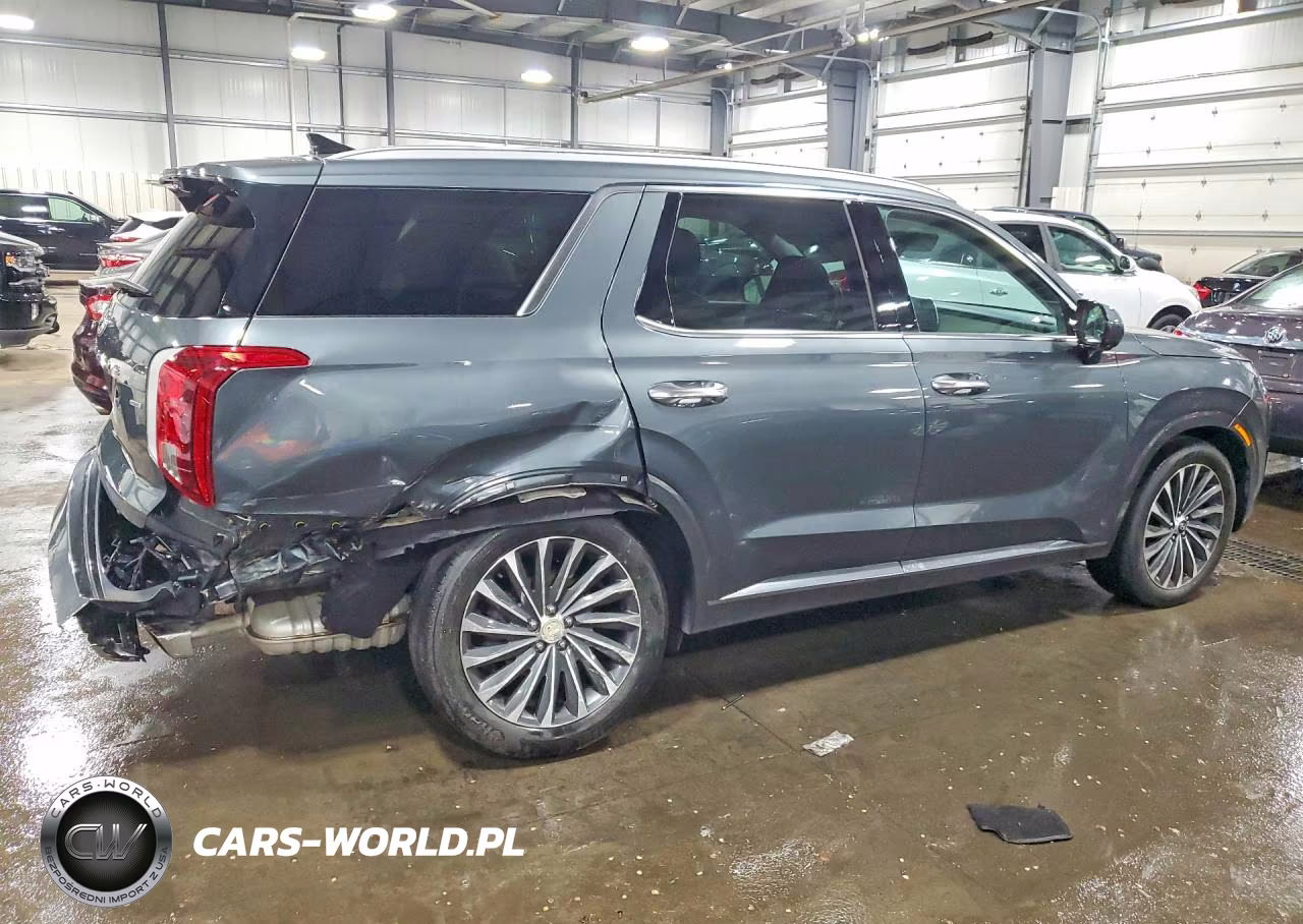 2023 Hyundai Palisade Calligraphy VIN:KM8R7DGE4PU636978 - 3