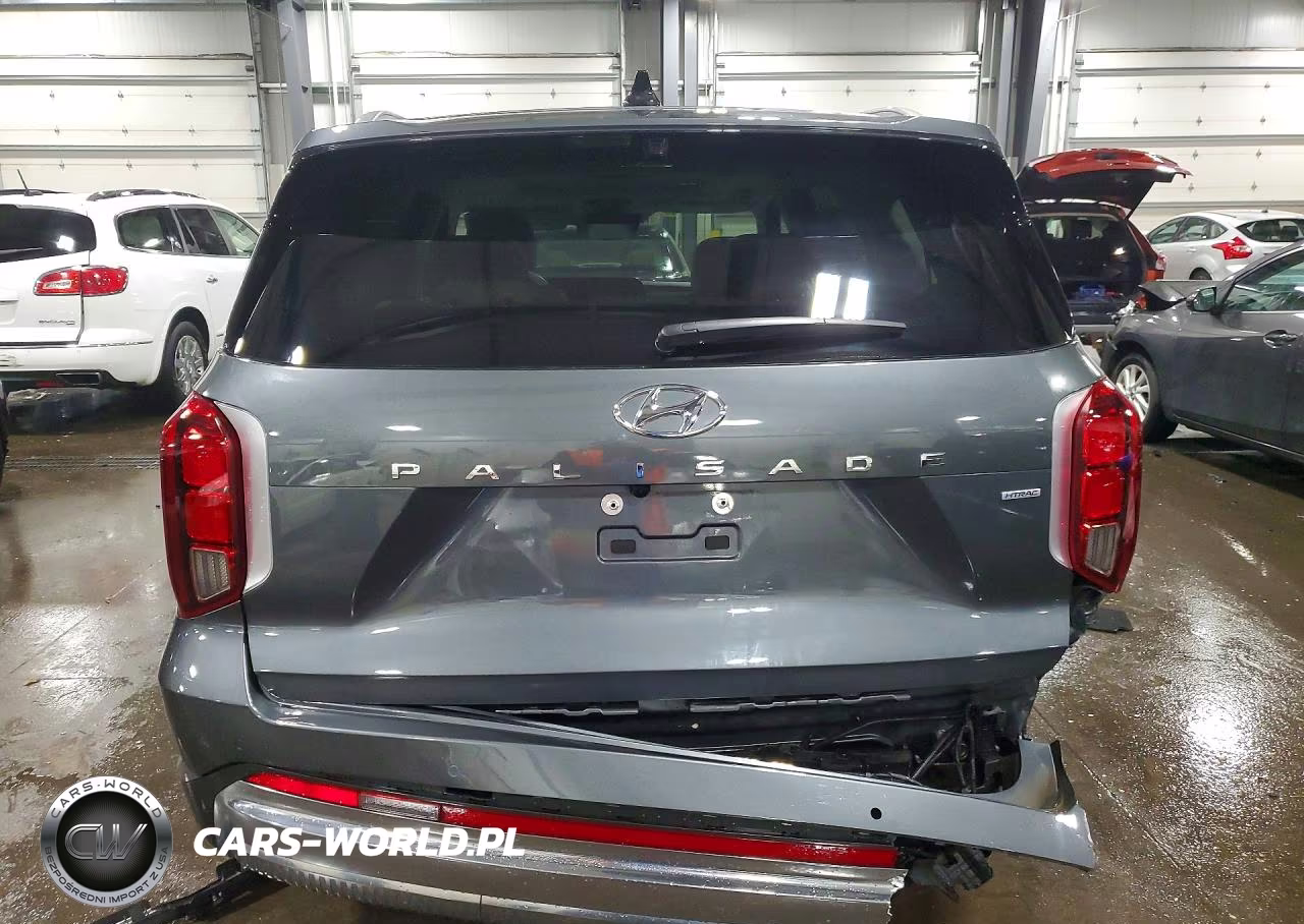 2023 Hyundai Palisade Calligraphy VIN:KM8R7DGE4PU636978 - 6
