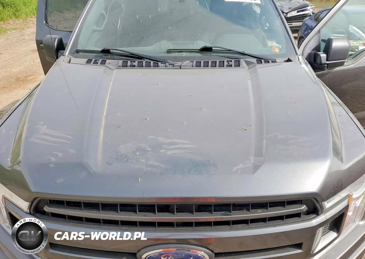 2020 Ford F150 Supercrew VIN:1FTEW1E58LFA79031 - 11