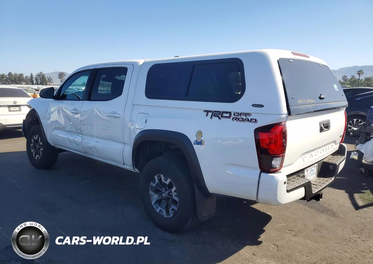 2019 Toyota Tacoma Trd Off-Road VIN:3TMAZ5CN6KM087286 - 2