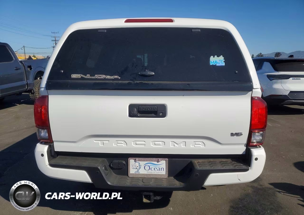 2019 Toyota Tacoma Trd Off-Road VIN:3TMAZ5CN6KM087286 - 6