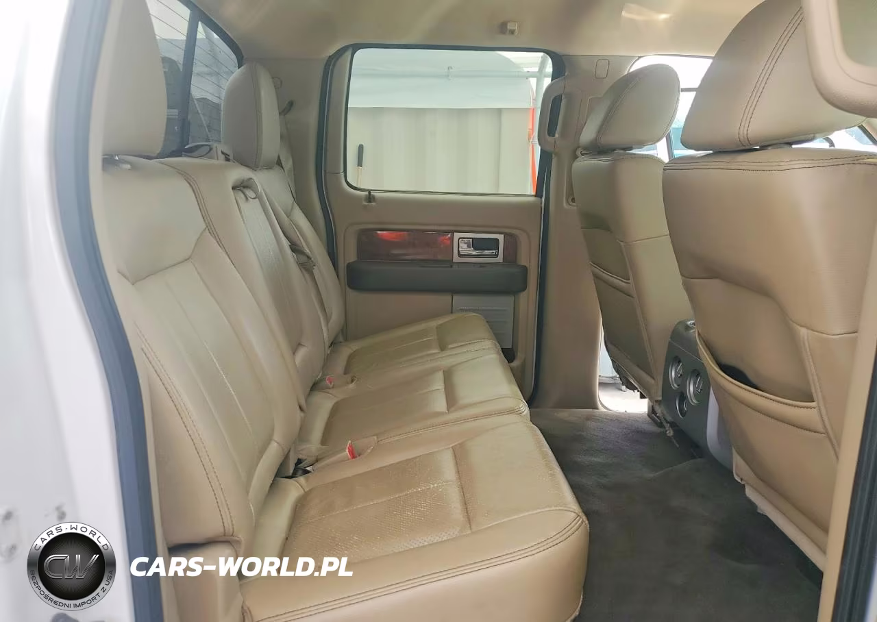 2010 Ford F150 Supercrew VIN:1FTFW1EV1AFD09199 - 10