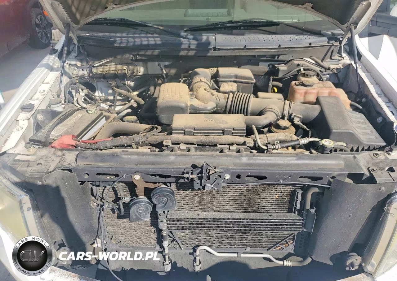 2010 Ford F150 Supercrew VIN:1FTFW1EV1AFD09199 - 11