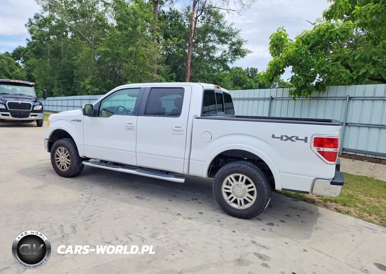 2010 Ford F150 Supercrew VIN:1FTFW1EV1AFD09199 - 2