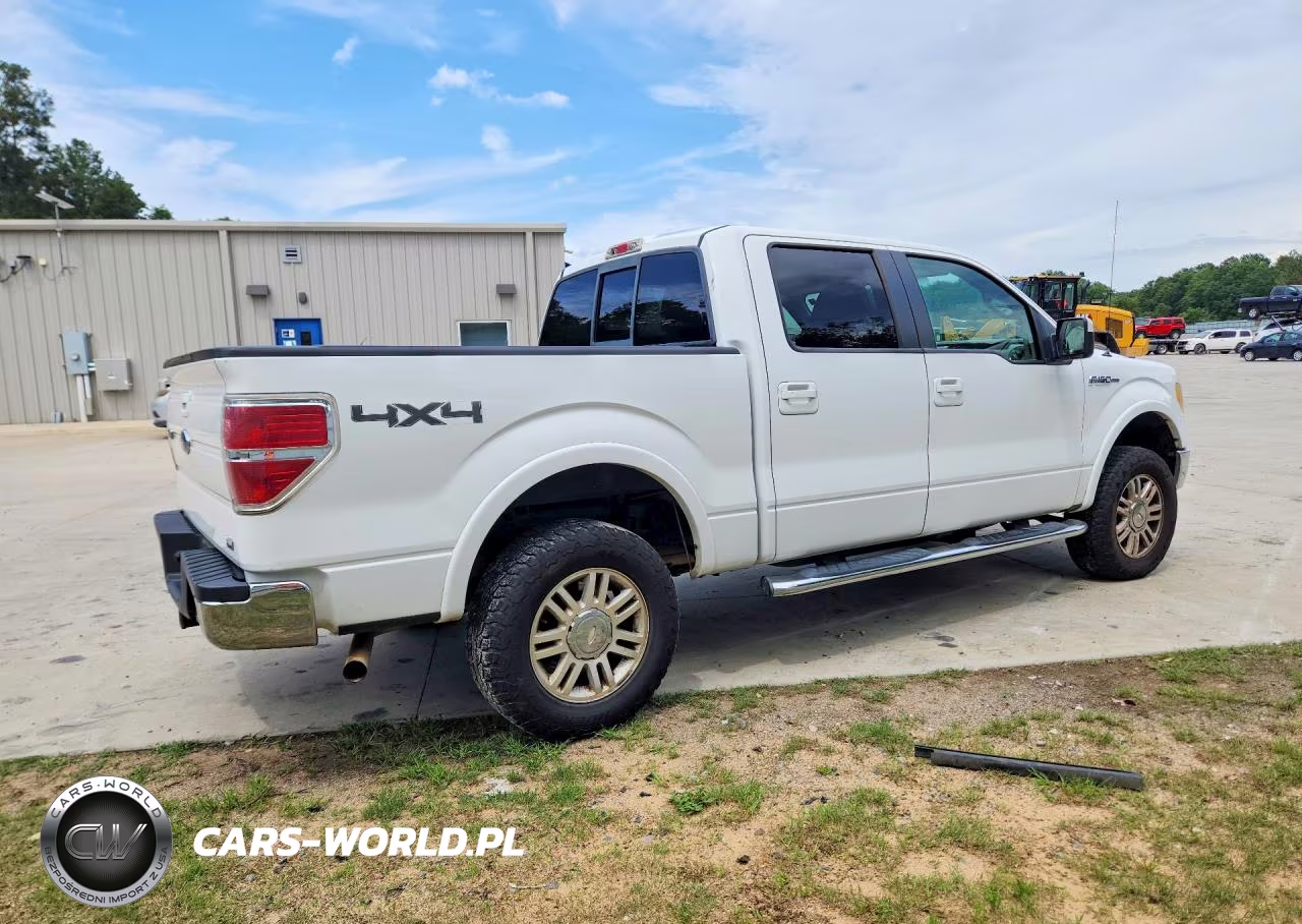 2010 Ford F150 Supercrew VIN:1FTFW1EV1AFD09199 - 3