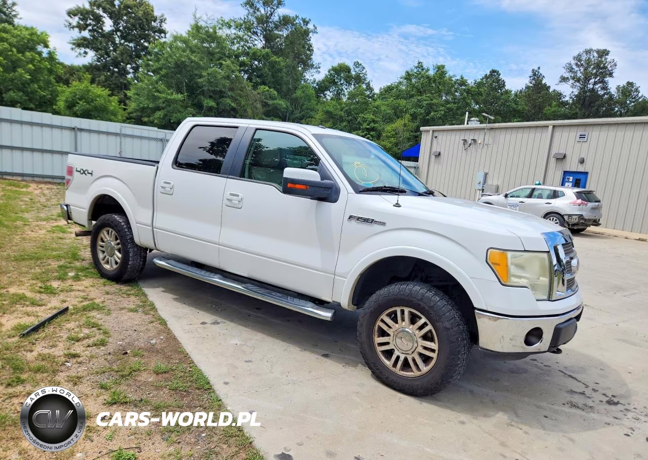 2010 Ford F150 Supercrew VIN:1FTFW1EV1AFD09199 - 4