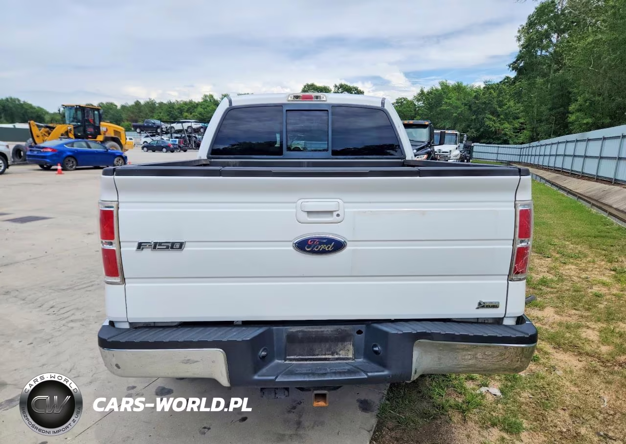 2010 Ford F150 Supercrew VIN:1FTFW1EV1AFD09199 - 6