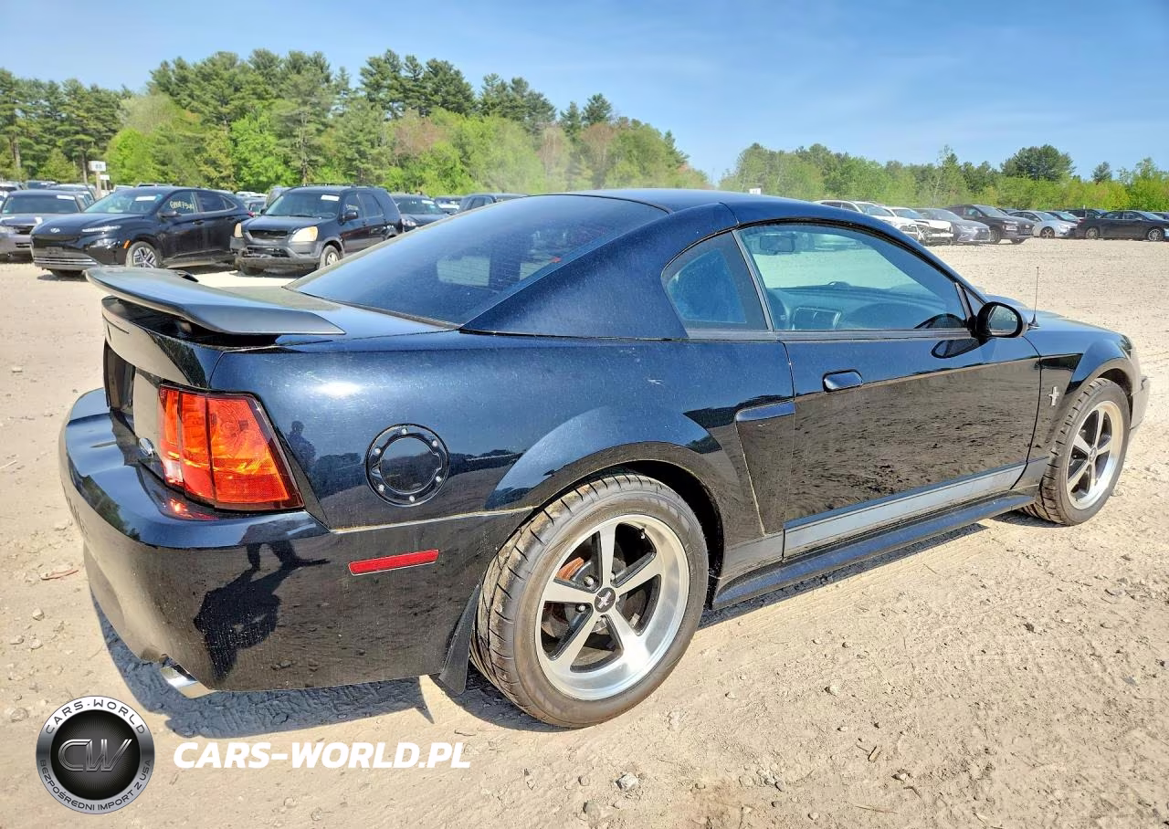 2003 Ford Mustang Mach I VIN:1FAFP42R33F446045 - 3