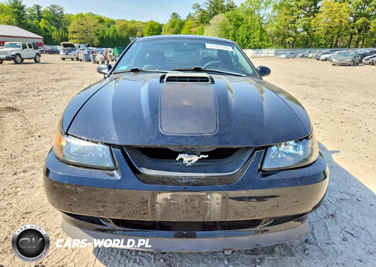 2003 Ford Mustang Mach I VIN:1FAFP42R33F446045 - 5