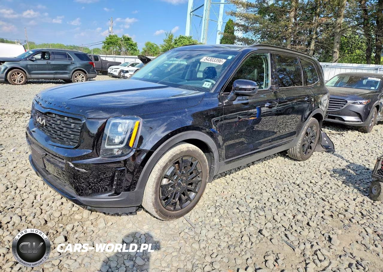 2022 Kia Telluride Ex – zdjęcie 1 z 13