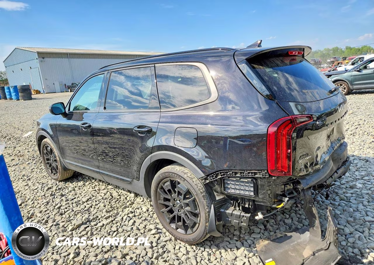 2022 Kia Telluride Ex VIN:5XYP3DHC2NG211505 - 2