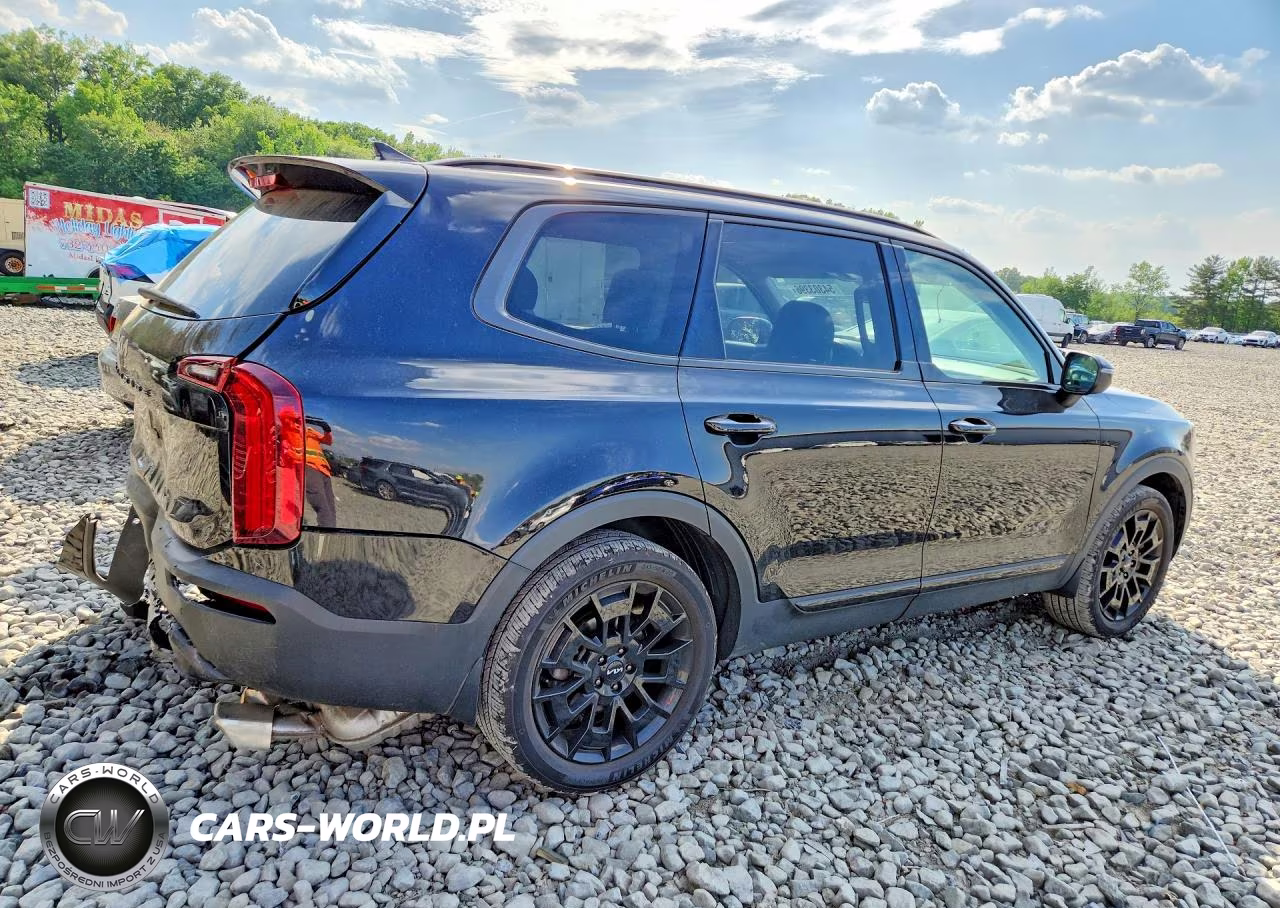 2022 Kia Telluride Ex VIN:5XYP3DHC2NG211505 - 3