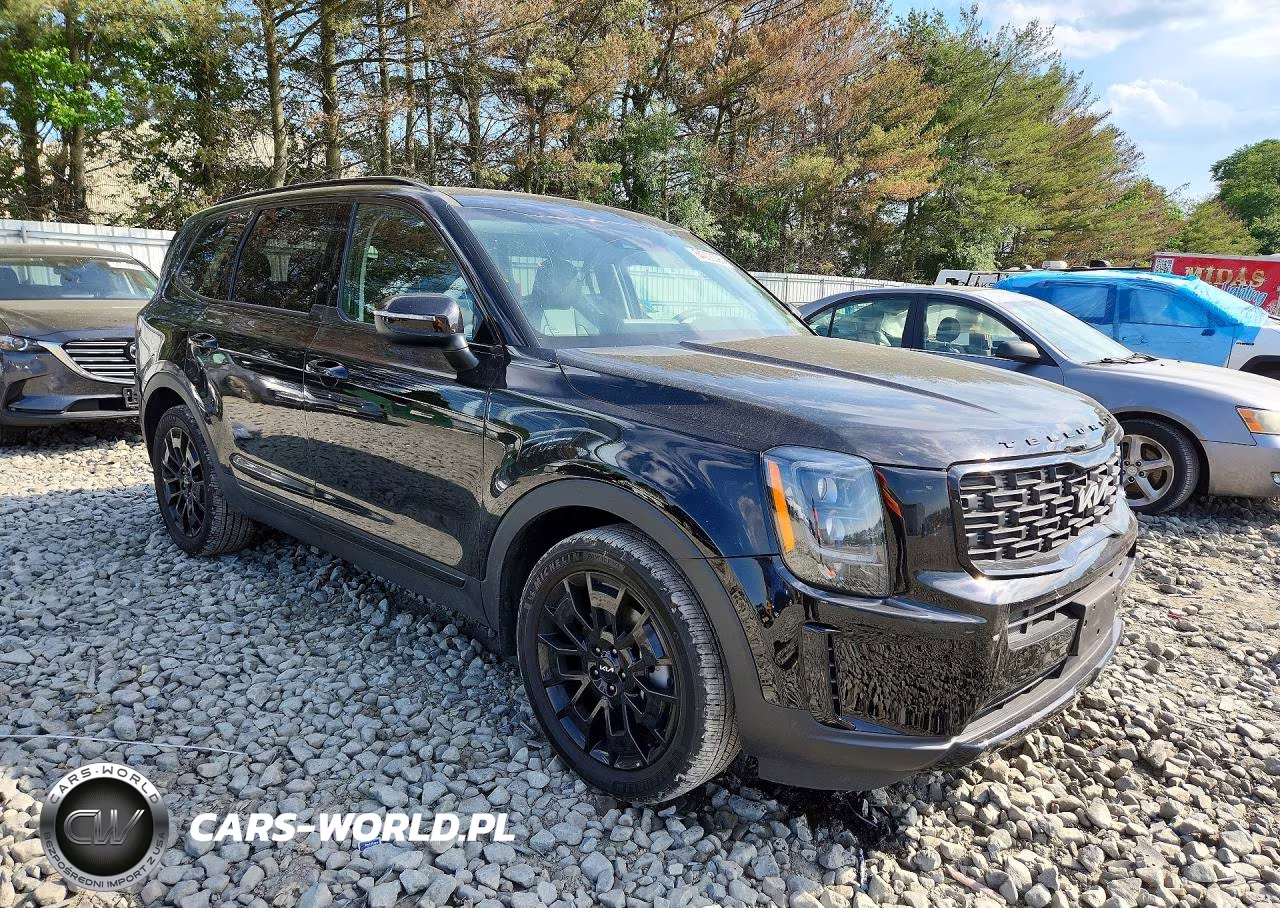 2022 Kia Telluride Ex VIN:5XYP3DHC2NG211505 - 4