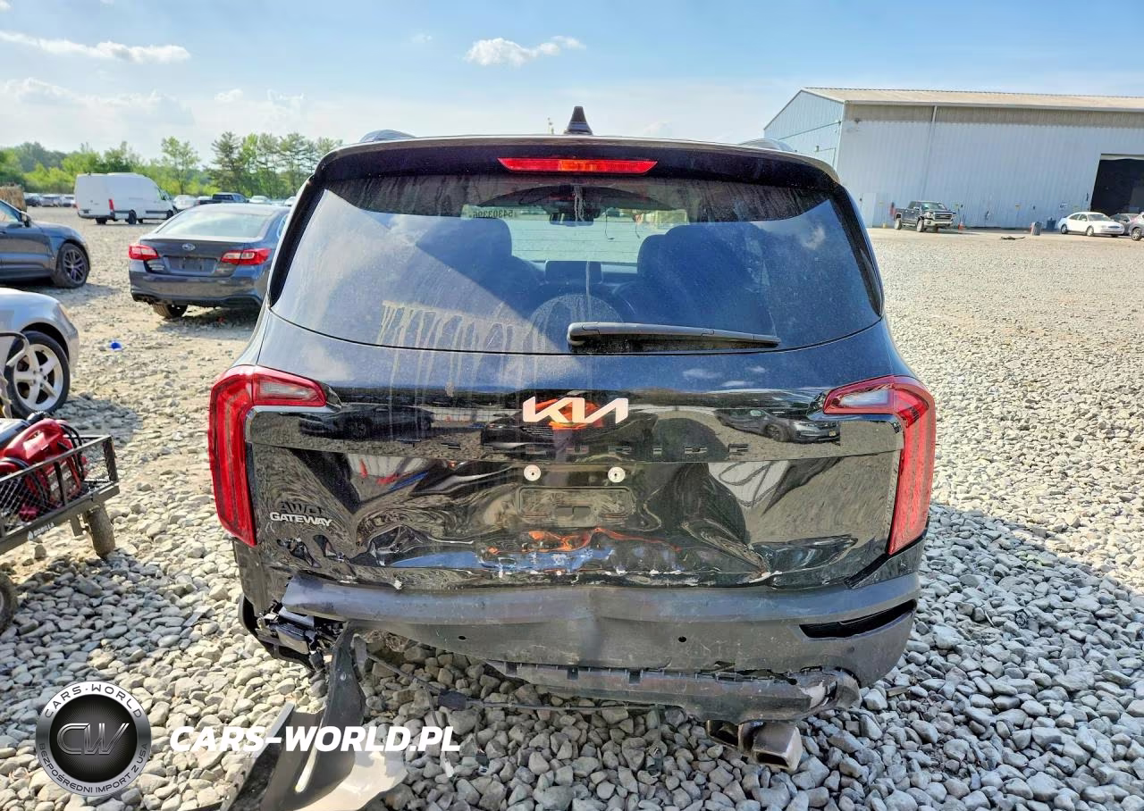 2022 Kia Telluride Ex VIN:5XYP3DHC2NG211505 - 6