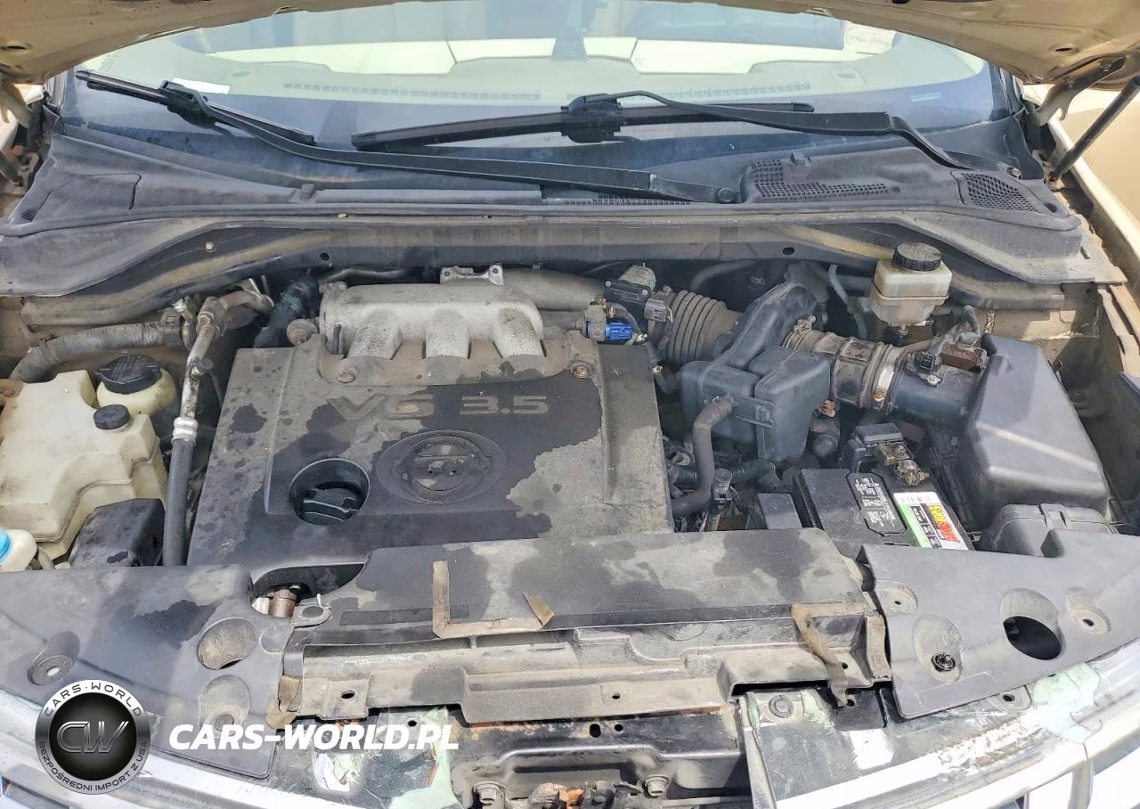 2004 Nissan Murano Sl VIN:JN8AZ08T64W200879 - 12