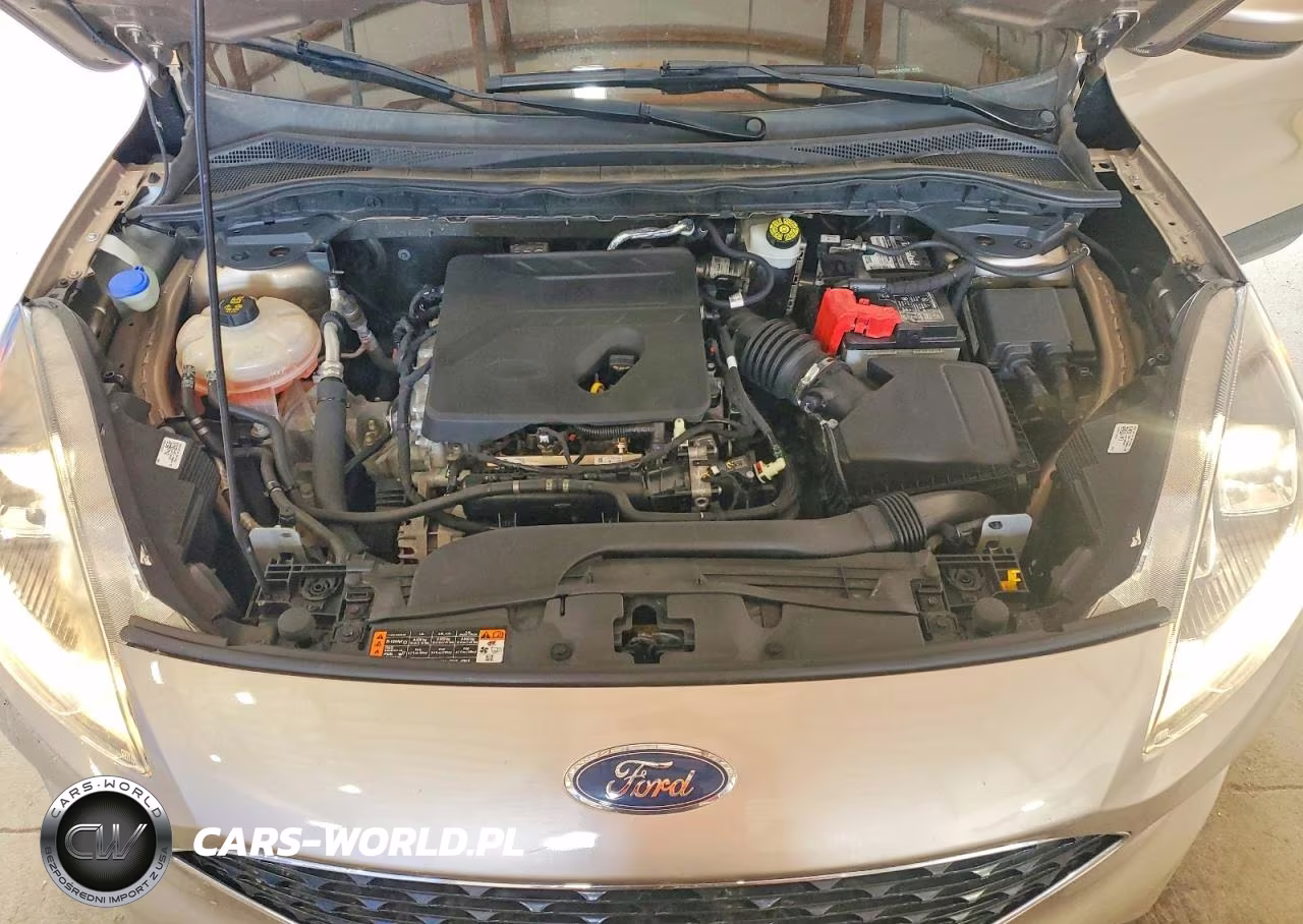 2020 Ford Escape Se VIN:1FMCU0G66LUA51250 - 12