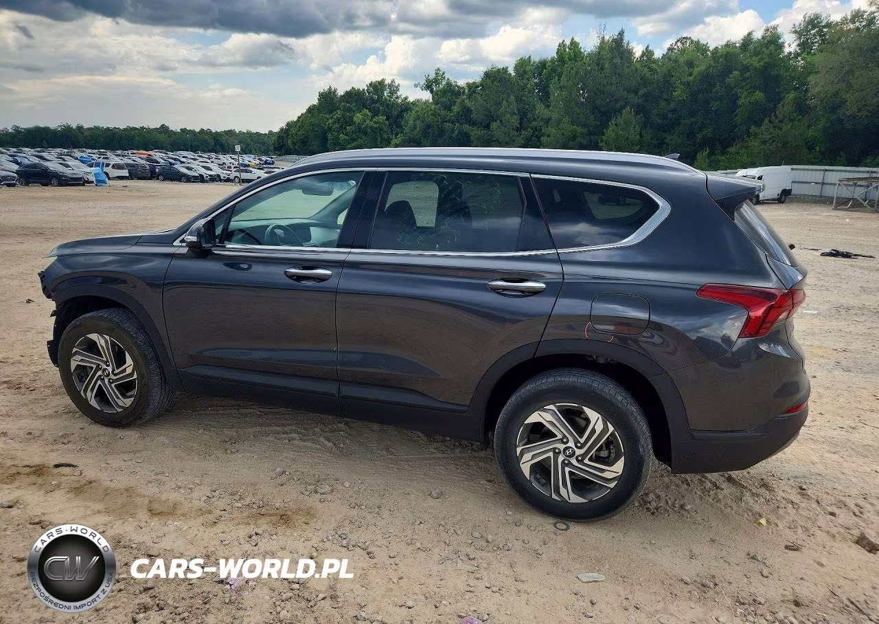 2023 Hyundai Santa Fe Sel VIN:5NMS2DAJ9PH545478 - 2